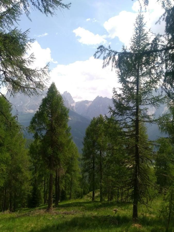 Villa Villgraterhof Sexten Esterno foto